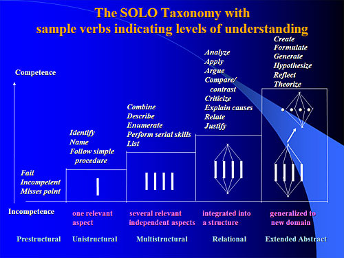 Solo taxonomy image